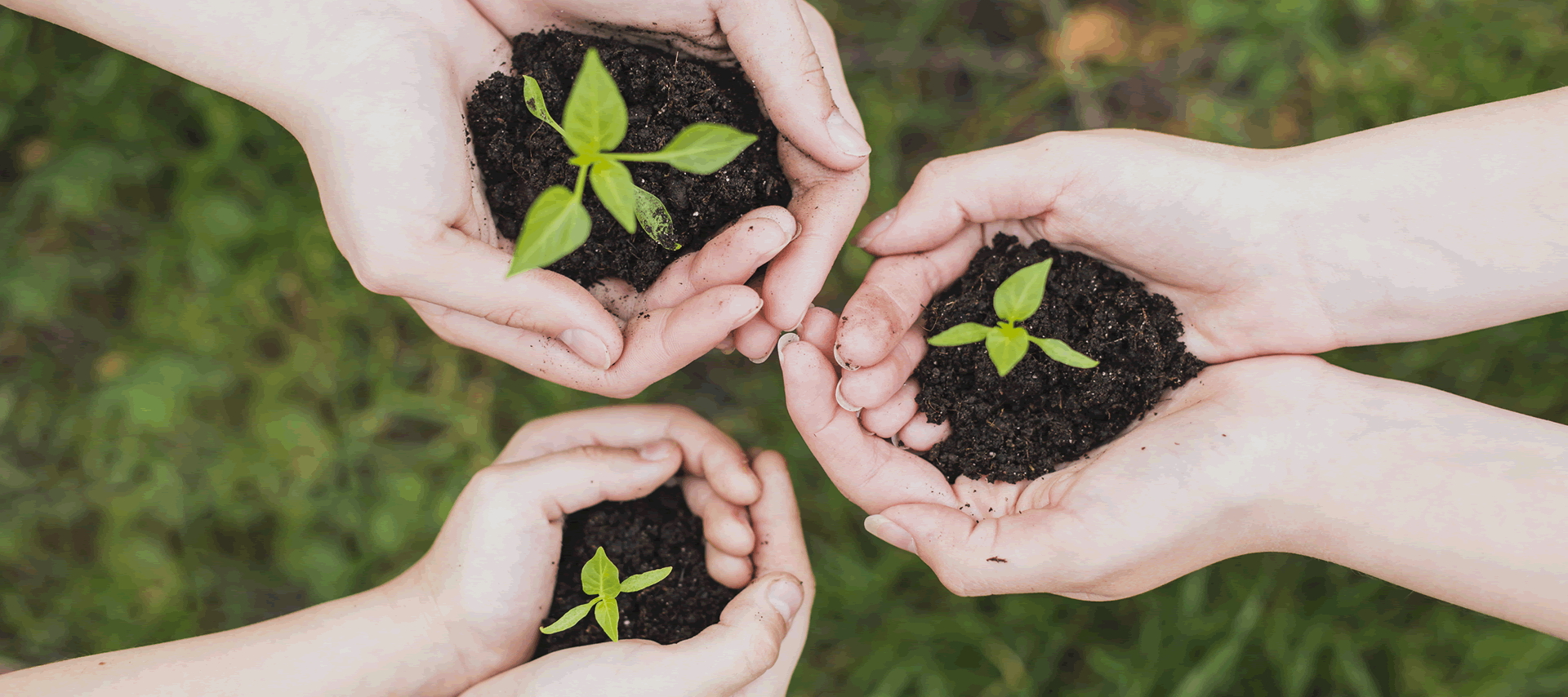 Gestión integral de residuos: todas las etapas, desde recolección hasta la
destrucción, cumpliendo con normas ambientales